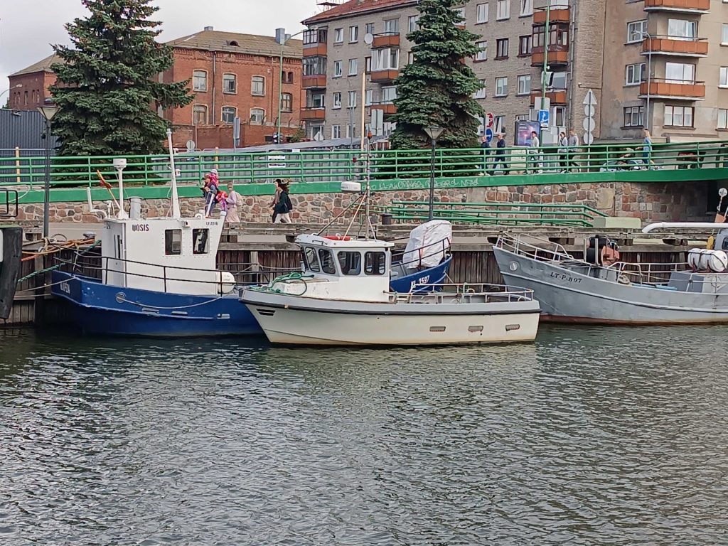 Klaipėdos universiteto koordinuojamas projektas „REFEST“ – mokslininkų lyderystės pripažinimo ir įvertinimo simbolis regione