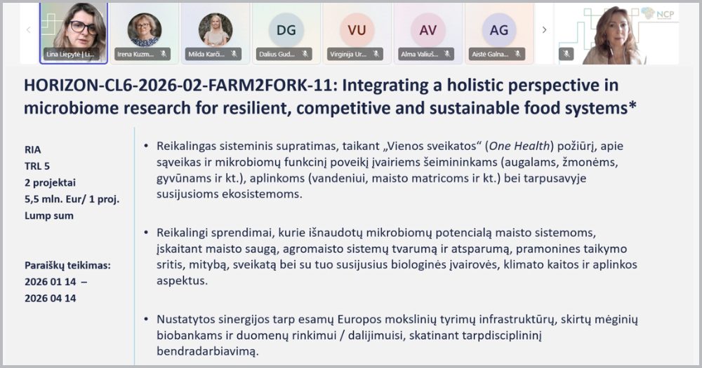 Lietuvos pareiškėjai ruošiasi 2026 m. „Europos horizonto“ paraiškų teikimui