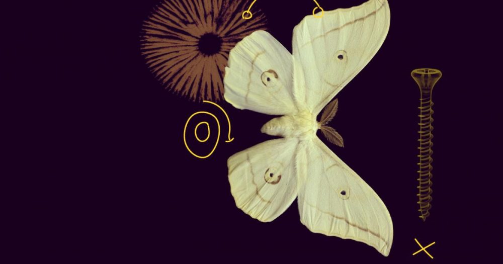 Paskelbtas „MSCA COFUND“ kvietimas teikti paraiškas