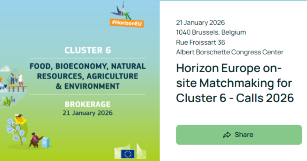 Partnerių paieškos pasiruošimo ABC