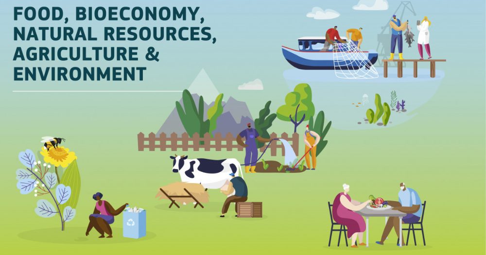 Paskelbti 6-os veiksmų grupės kvietimai teikti 2 etapų paraiškas