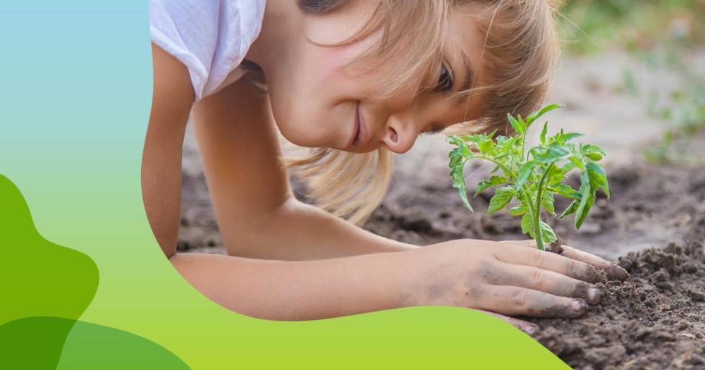 Junkitės prie inovatorių tinklo – raskite partnerius savo dirvožemio projektui