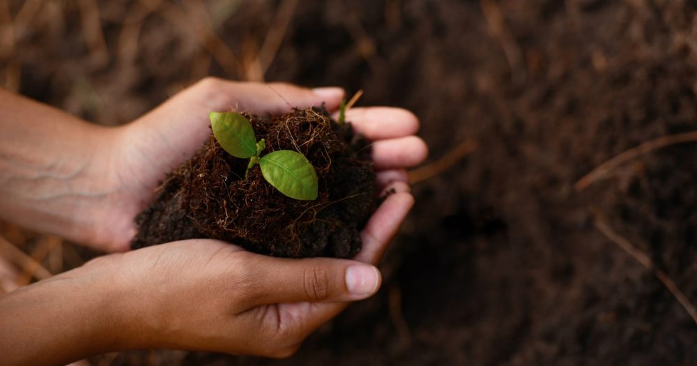 „Soill Hub“: dirvožemio žinios vienoje vietoje